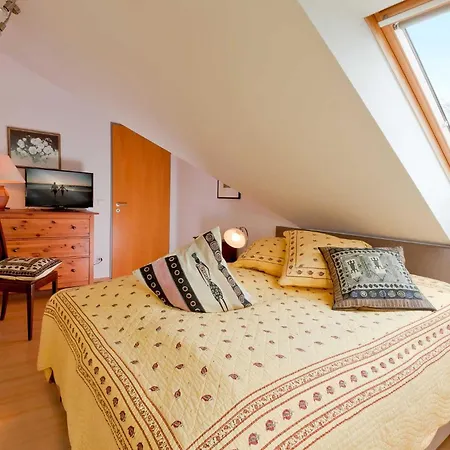 Moewennest Zinnowitz